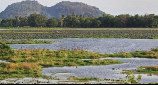 Wildlife Raid Ends in Gunfire—Suspect Hospitalized